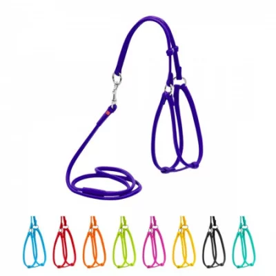 Collar Glamour Шлея + поводок, круглая №2, ширина 6 мм (А:46-66 см, В:40-60 см)