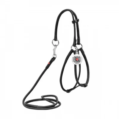 Collar Soft Шлея + поводок, круглая №2, ширина 6 мм (А:46-66 см, В:40-60 см)