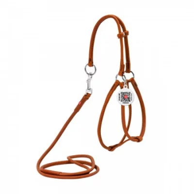 Collar Soft Шлея + поводок, круглая №2, ширина 6 мм (А:46-66 см, В:40-60 см)