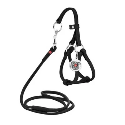 Collar Soft Шлея + поводок, круглая №1, ширина 6 мм (А:35-42 см, В:30-37 см)