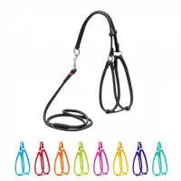 Collar Glamour Шлея + повідець, кругла №1, ширина 6 мм (А:35..