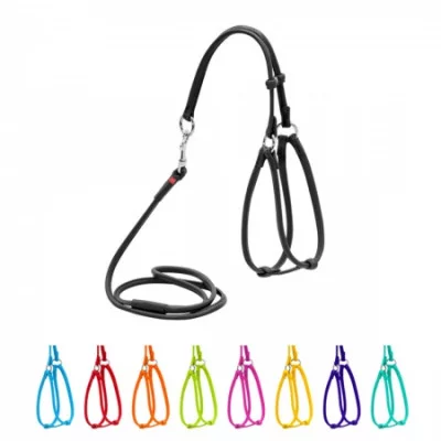 Collar Glamour Шлея + повідець, кругла №1, ширина 6 мм (А:35-42 см, В:30-37 см)