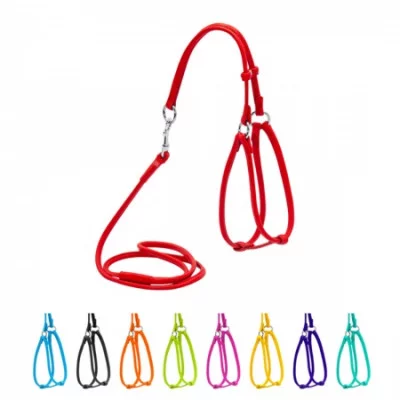 Collar Glamour Шлея + повідець, кругла №1, ширина 6 мм (А:35-42 см, В:30-37 см)