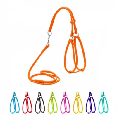 Collar Glamour Шлея + повідець, кругла №1, ширина 6 мм (А:35-42 см, В:30-37 см)