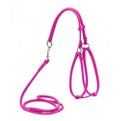 Collar Шлея кругла 