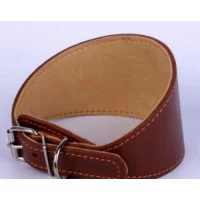 Collar Нашийник для хортів, ширина 20 мм, довжина 29-35 см