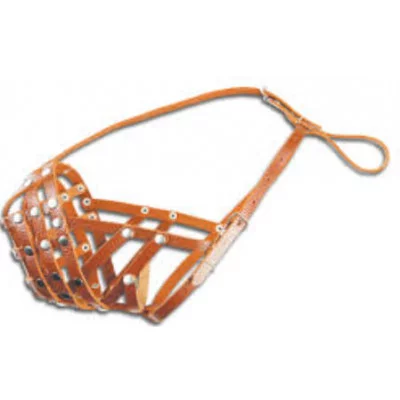 Before Намордник - сітка, боксер