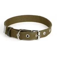 Before Нашийник Practic брезент 25мм, 370-480мм