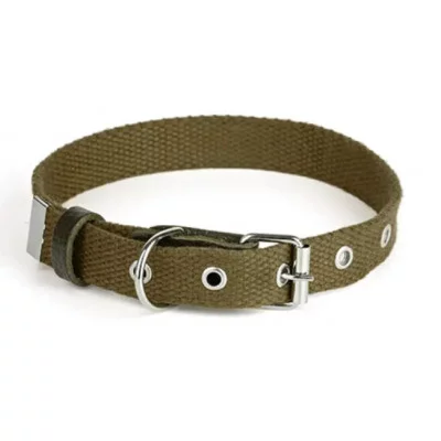 Before Нашийник Practic брезент 25мм, 370-480мм