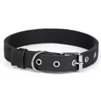 Before Нашийник Practic брезент 35мм, 450-580мм