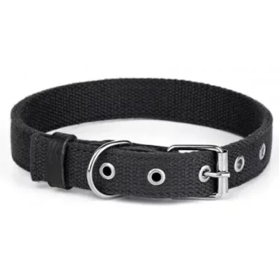 Before Нашийник Practic брезент 35мм, 450-580мм