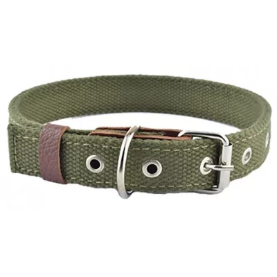 Before Нашийник Practic брезент 35мм, 450-580мм