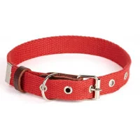 Before Нашийник Practic брезент 35мм, 450-580мм