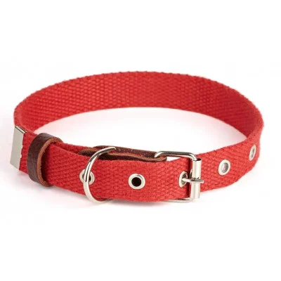 Before Нашийник Practic брезент 35мм, 450-580мм