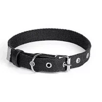 Нашийник Practic брезент 20мм, 320-420мм