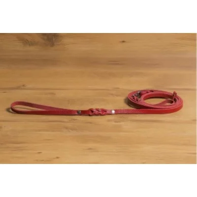 Before Ринговка для середніх і великих порід 10 мм. / 1800 мм.