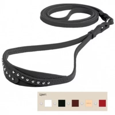 Before Ринговка для собак 8 мм. / 1150 мм