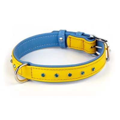 Before Нашийник двокольоровий 16мм, 260-310мм 