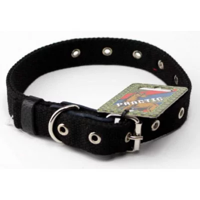 Before Practic Нашийник брезентовий подвійний, безрозмірний, ширина 20 мм, довжина 220-470 мм