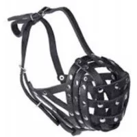 Before Намордник - сітка, боксер