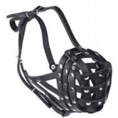 Before Намордник - сітка, боксер