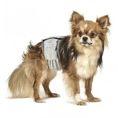 Pet Fashion пояс гигиенический для кобелей M