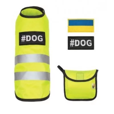 Pet Fashion Костюм 