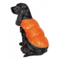 Pet fashion Жилет SPRING помаранчевий