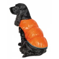 Pet fashion Жилет SPRING помаранчевий