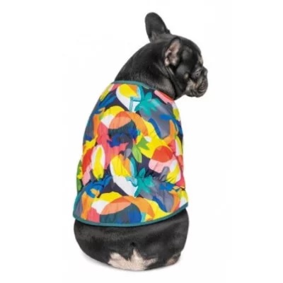 Pet fashion Жилет SPRING принтовий