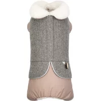 Костюм дівчинка Twiddy  для собак