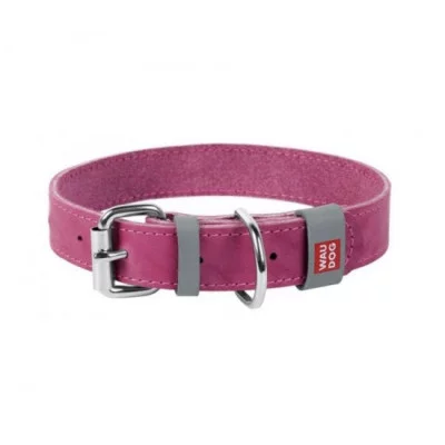 Нашийник шкіряний WAUDOG Classic, Ш 12 мм