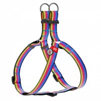 Шлея WAUDOG Nylon з малюнком анатомічна 