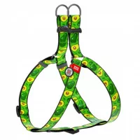 Шлея WAUDOG Nylon з малюнком 