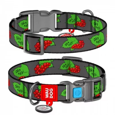 Collar WAUDOG Nylon Нашийник для собак нейлоновий з QR-паспортом, малюнок Калина,пластиковий фастекс