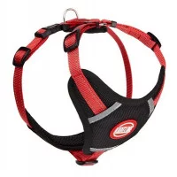 Шлея нейлон зі світловідбивною ниткою та логотипом