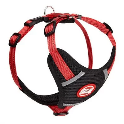 Шлея нейлон зі світловідбивною ниткою та логотипом