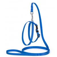 Karline Комплект нейлон зі світловідб.ниткою і пласт.пряжкою..