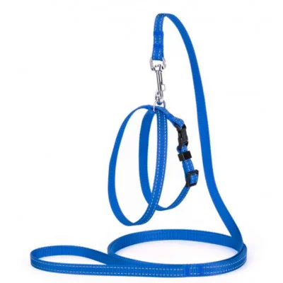 Karline Комплект нейлон зі світловідб.ниткою і пласт.пряжкою повідок і шлея 10мм