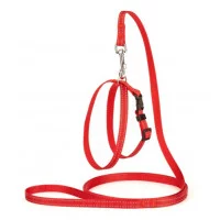 Karline Комплект нейлон зі світловідб.ниткою і пласт.пряжкою..