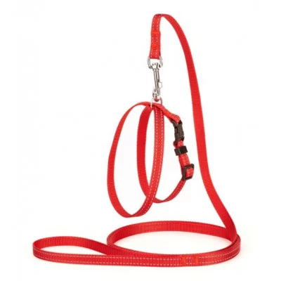 Karline Комплект нейлон зі світловідб.ниткою і пласт.пряжкою повідок і шлея 10мм