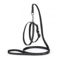 Karline Комплект нейлон зі світловідб.ниткою і пласт.пряжкою..