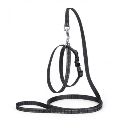 Karline Комплект нейлон зі світловідб.ниткою і пласт.пряжкою повідок і шлея 10мм