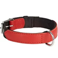 Нашийник Hard 25мм, 370-440мм з нейлону та шкіри