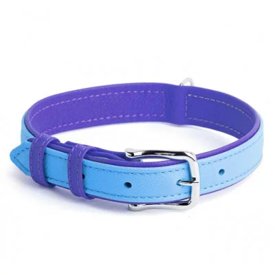 Нашийник двокольоровий 20мм, 310-380мм 