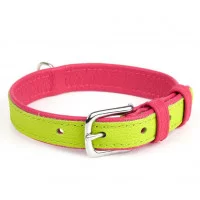 Нашийник двокольоровий 20мм, 310-380мм 