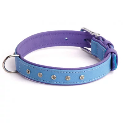 Before Нашийник двокольоровий 16мм, 260-310мм 