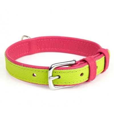 Before Нашийник двокольоровий 16мм, 260-310мм 