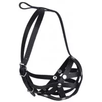 Before Намордник - сітка, бульдог