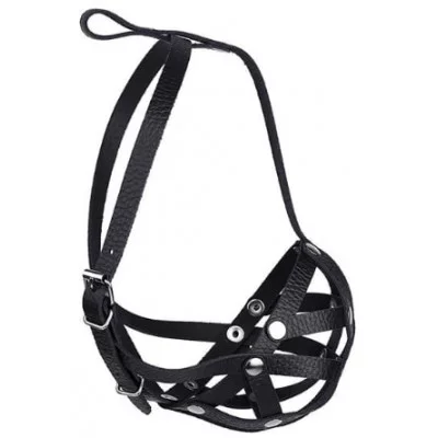 Before Намордник - сітка, бульдог